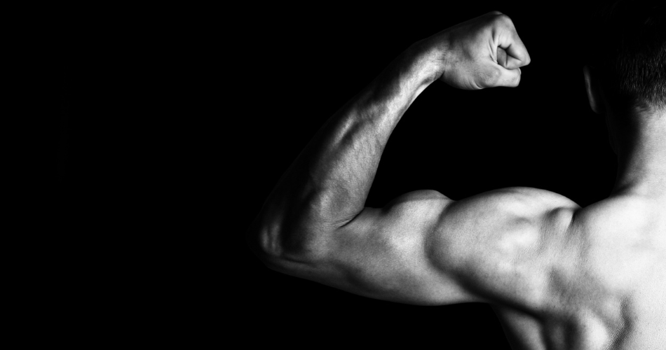 Learn about steroids with VPharma's blog