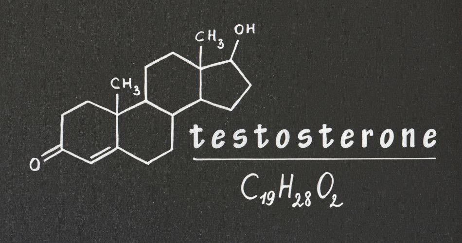 First let's define: What is testosterone?